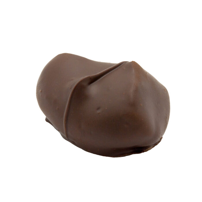 Dark Chocolate Covered Apricot