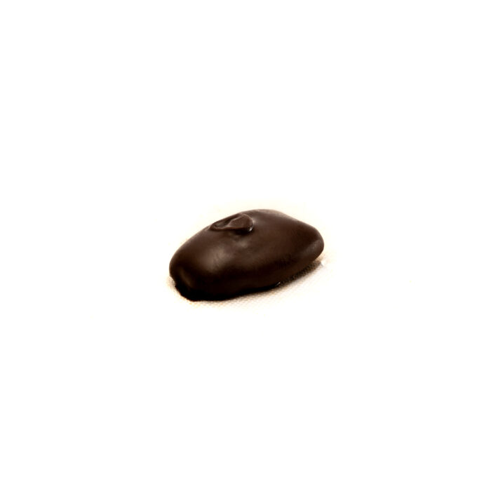 Dark Chocolate Covered Pecan